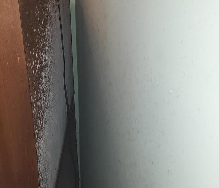 Mold on a wooden cabinet 