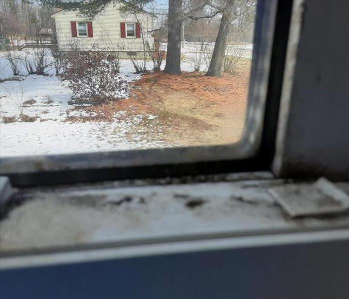Moldy Window 